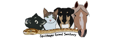 Spirit Keeper Animal Sanctuary